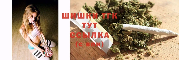 СК Гусь-Хрустальный