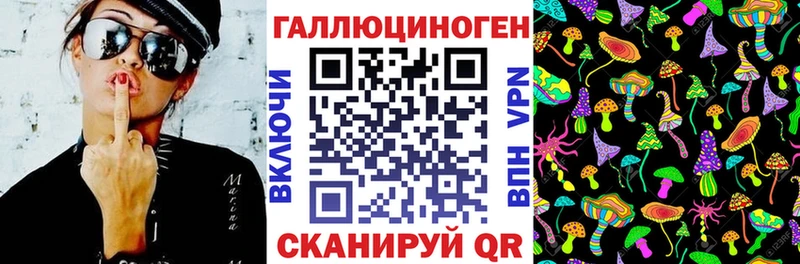 Псилоцибиновые грибы прущие грибы  Купить закладки  Жуков 